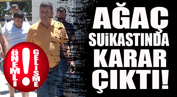 ÖNEMLİ GELİŞME… AĞAÇ SUİKASTINI YAPANLARA HAPİS CEZASI GELDİ!