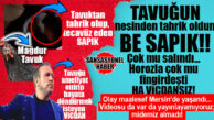 “MİDE BULANTISI AZ GELİR” DEDİRTEN HABER: TAVUĞA TECAVÜZ ETTİ, “BİR ANLIK HİSLERİMİN KURBANI OLDUM” DEDİ… VALLA DİYECEĞİMİZ ÇOK ŞEY VAR DA İŞTE…