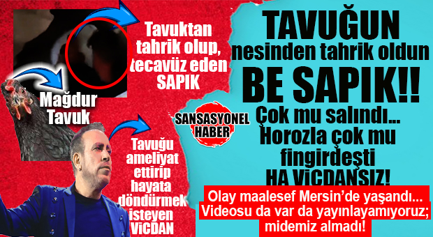 “MİDE BULANTISI AZ GELİR” DEDİRTEN HABER: TAVUĞA TECAVÜZ ETTİ, “BİR ANLIK HİSLERİMİN KURBANI OLDUM” DEDİ… VALLA DİYECEĞİMİZ ÇOK ŞEY VAR DA İŞTE…