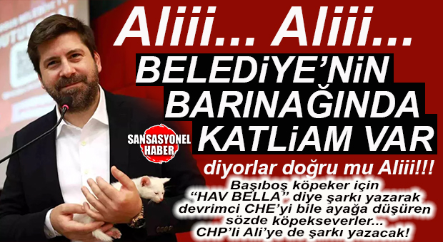 TARSUS BELEDİYESİ KÖPEK BARINAĞI’NDA KATLİAM İDDİASINA VALİ PEHLİVAN EL ATTI! GÜNÜN BOMBASI…