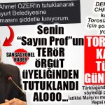 TOROSLAR’A DA KAYYUM MU GELECEK? TÜRKİYE’DE GÜNDEM BU…