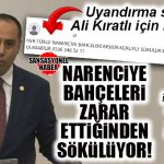 GÜNÜN UYANDIRMA SERVİSİ ALİ KIRATLI İÇİN HİZMETTE: MERSİN’DE AĞAÇ SÖKÜM İLANLARINI BİRİSİ AK PARTİLİ KIRATLI’YA GÖSTERSİN!