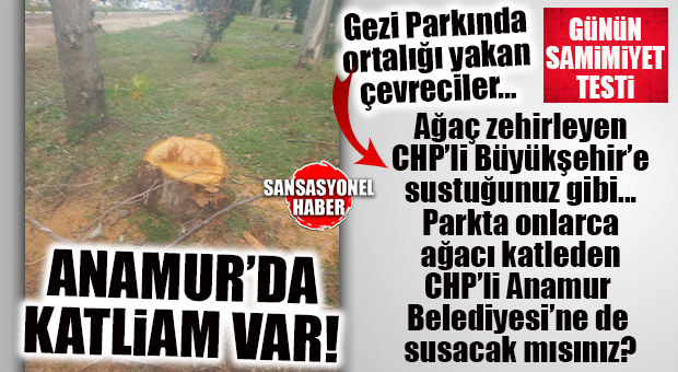 ÇEVRECİLER ALOOO; CHP’Lİ ANAMUR BELEDİYESİ’NDEN AĞAÇ KATLİAMI VAR… HİÇ ACIMADILAR…