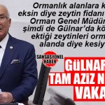 İYİ PARTİLİ KOCAMAZ GÜLNAR’DAKİ ZEYTİN KATLİAMINI TBMM’YE TAŞIDI!