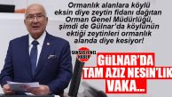 İYİ PARTİLİ KOCAMAZ GÜLNAR’DAKİ ZEYTİN KATLİAMINI TBMM’YE TAŞIDI!