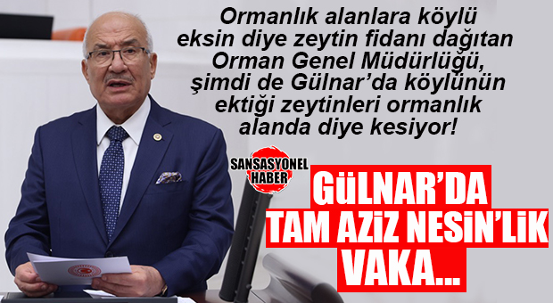 İYİ PARTİLİ KOCAMAZ GÜLNAR’DAKİ ZEYTİN KATLİAMINI TBMM’YE TAŞIDI!