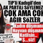 GÜNÜN OLAYI: AK PARTİLİ SÖYLEMEZ KONUŞURKEN, HAKARETLER YAĞDIRAN TİP’Lİ KADIGİL’E UYARMA CEZASI!