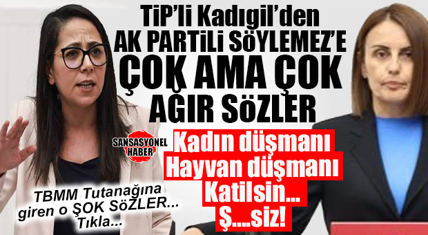 GÜNÜN OLAYI: AK PARTİLİ SÖYLEMEZ KONUŞURKEN, HAKARETLER YAĞDIRAN TİP’Lİ KADIGİL’E UYARMA CEZASI!