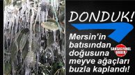 SON 25 YILIN EN SOĞUK HAVASI: MERSİN ÇİFTÇİSİNİ ZİRAİ DON VURDU… ZARAR BÜYÜK…